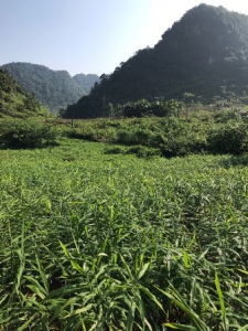 Những đổi thay ở xã Thượng Thôn huyện Hà Quảng, tỉnh Cao Bằng